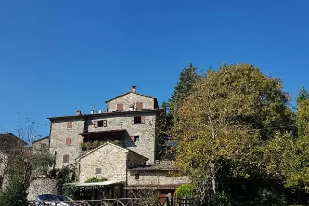 Representative exterior or arrival view for Alla Battuta.